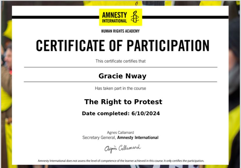 The Right to Protest